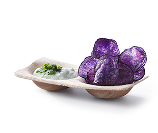 amuse speel met kleur