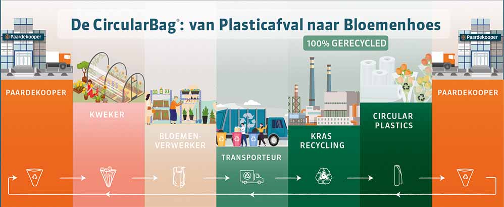 infogram circularbag paardekooper