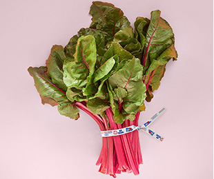 ElastiTag ties