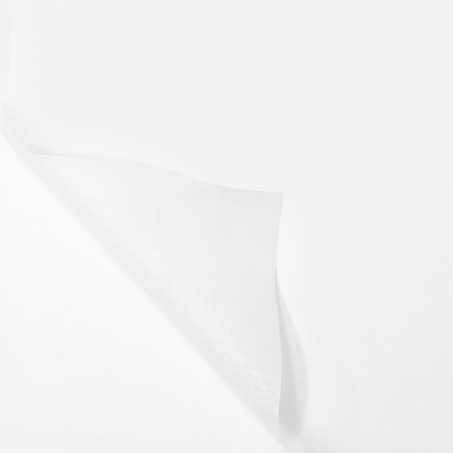 /static/uploads/pictures/large/331662.png