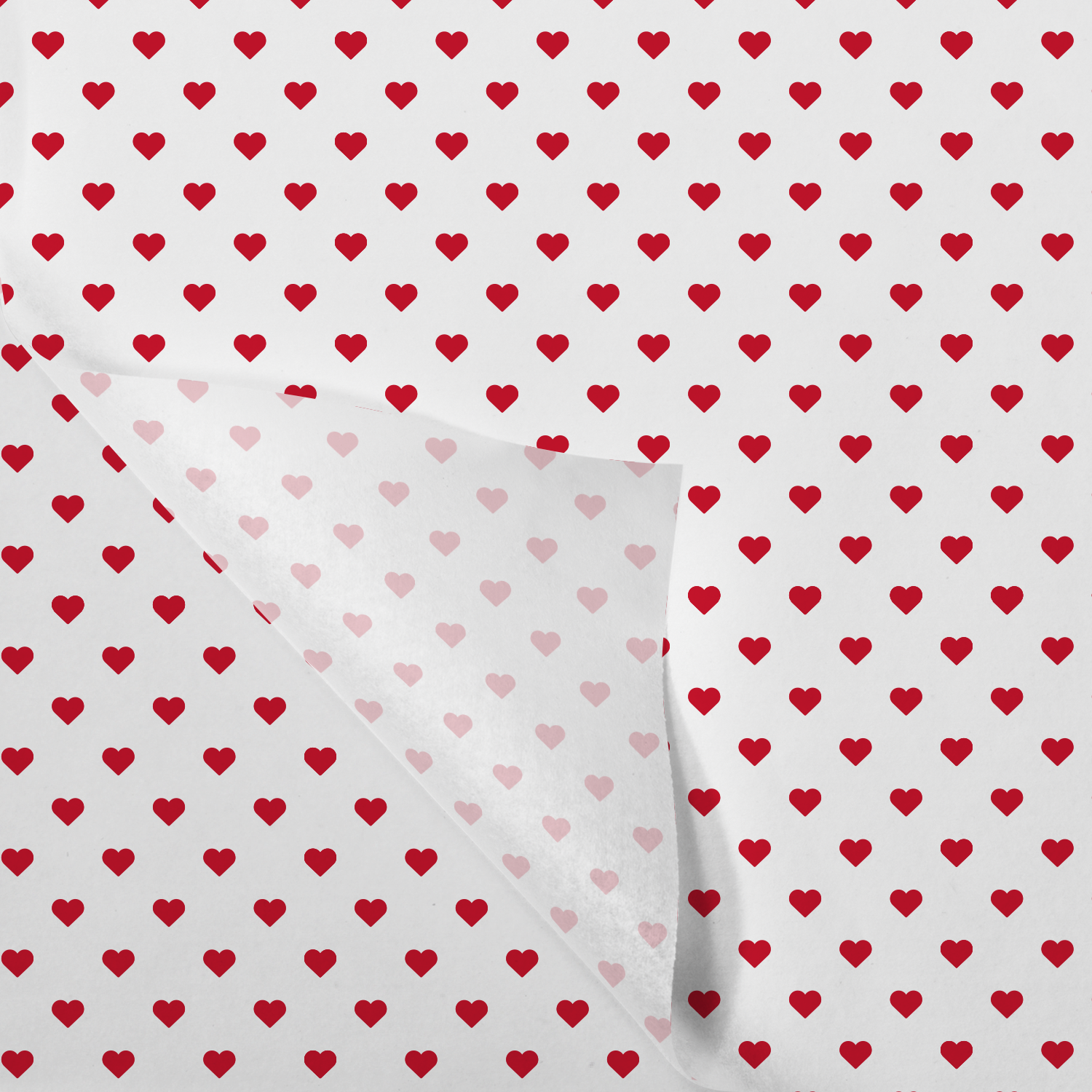 /static/uploads/pictures/large/340128.png