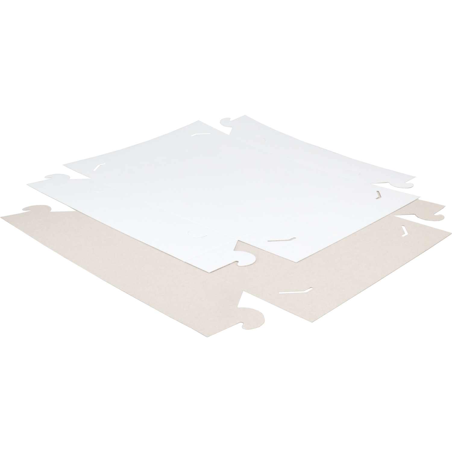/static/uploads/pictures/large/400058%2302.png