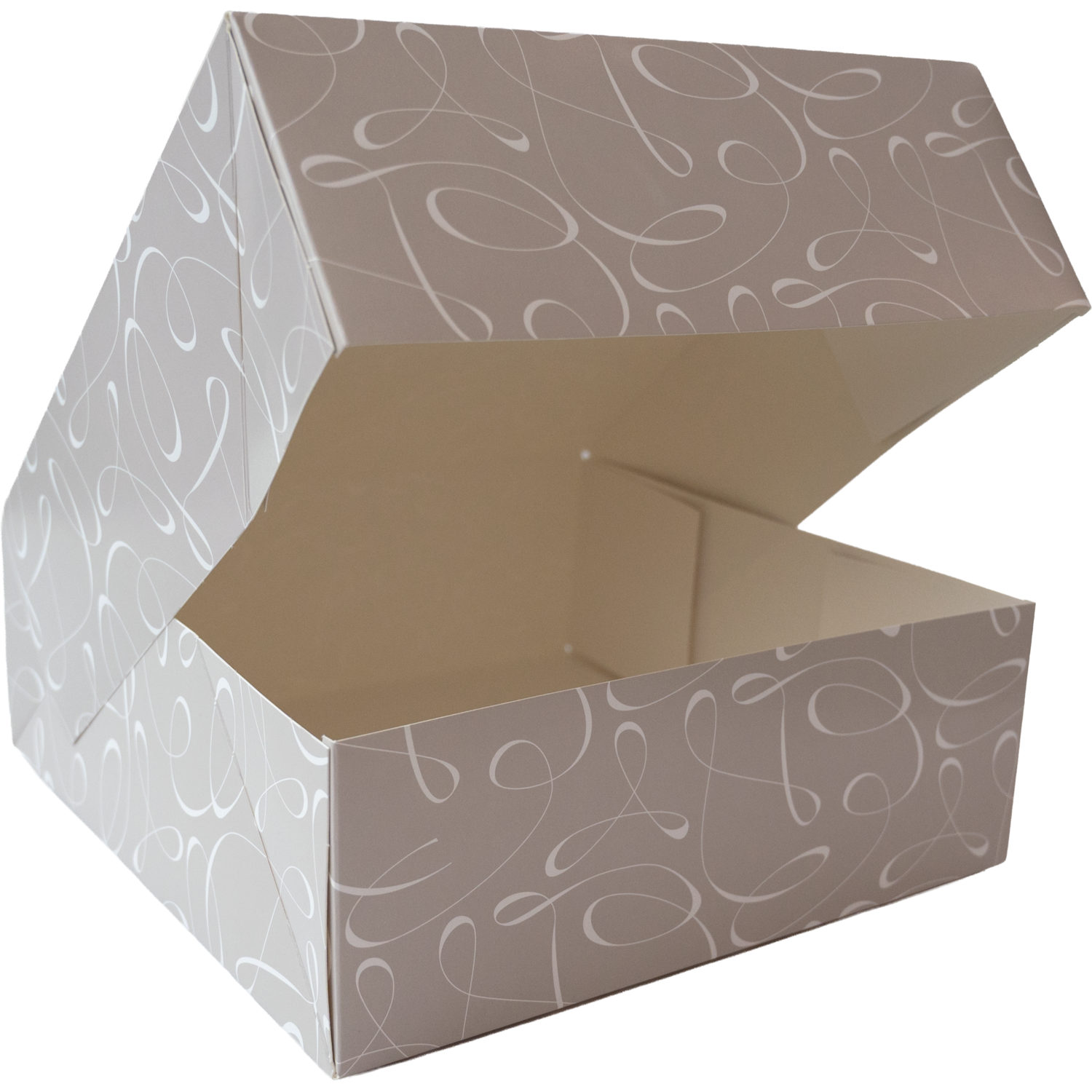 /static/uploads/pictures/large/411104%2301.png
