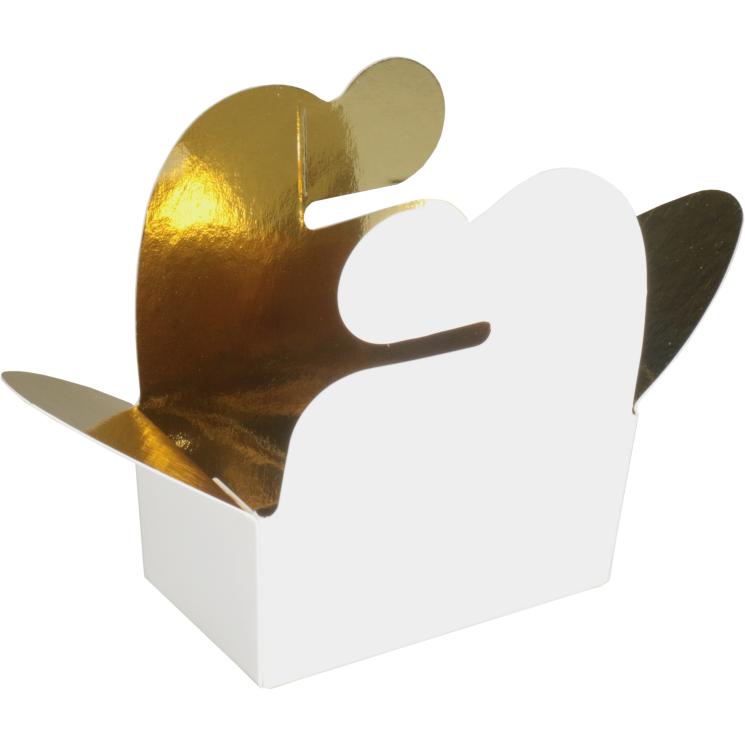 /static/uploads/pictures/large/485500%2301.png