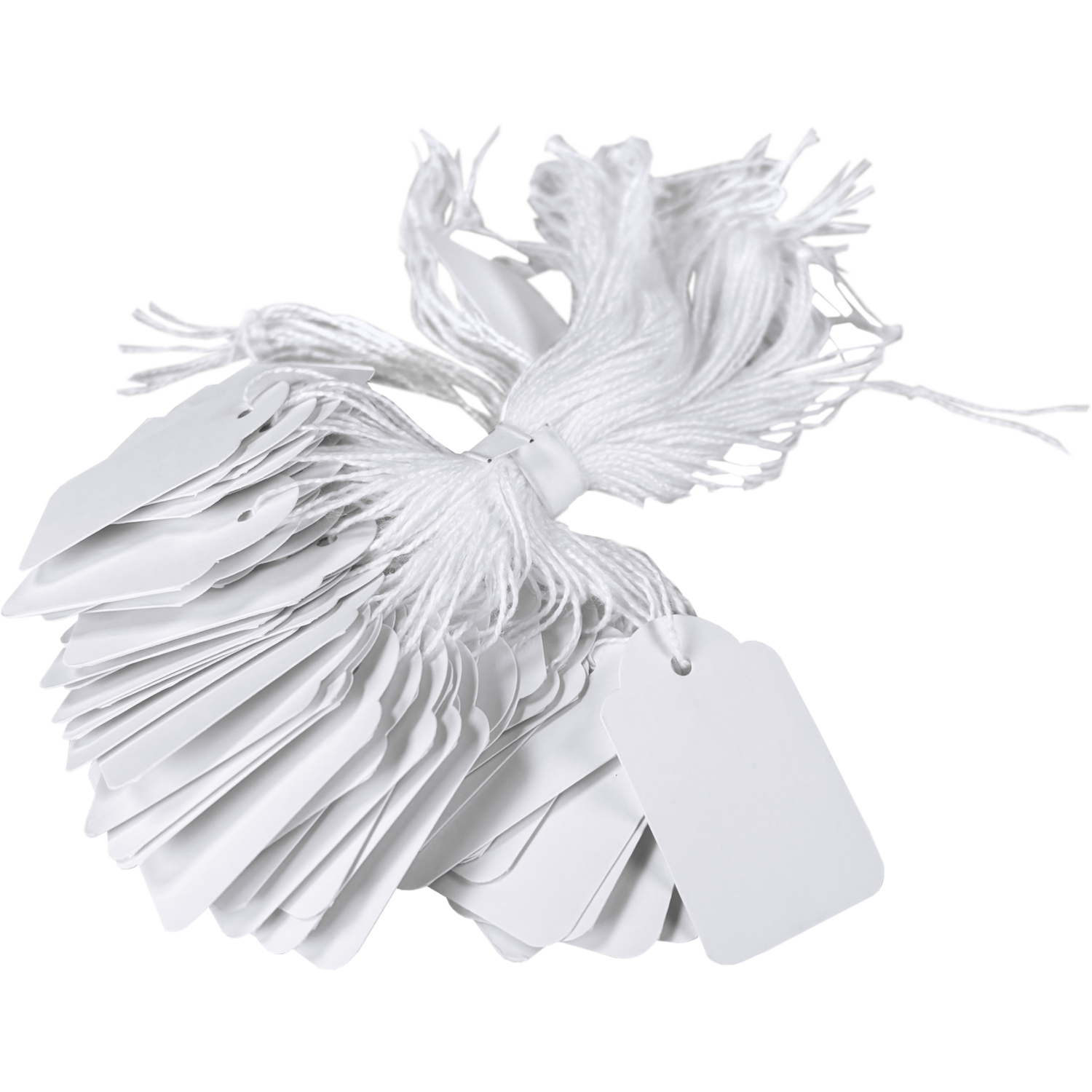 /static/uploads/pictures/large/534824%2301.png