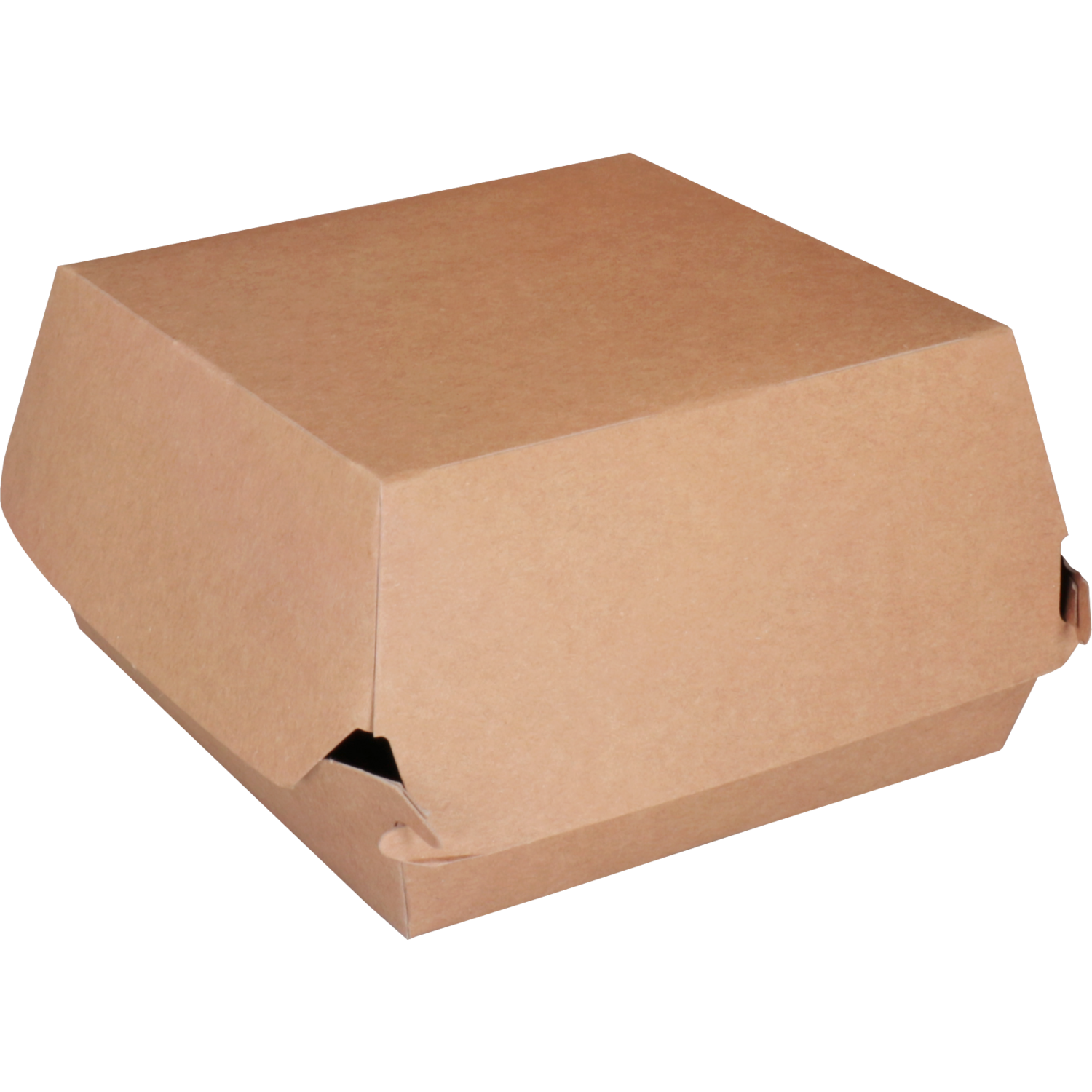 /static/uploads/pictures/large/601410.png