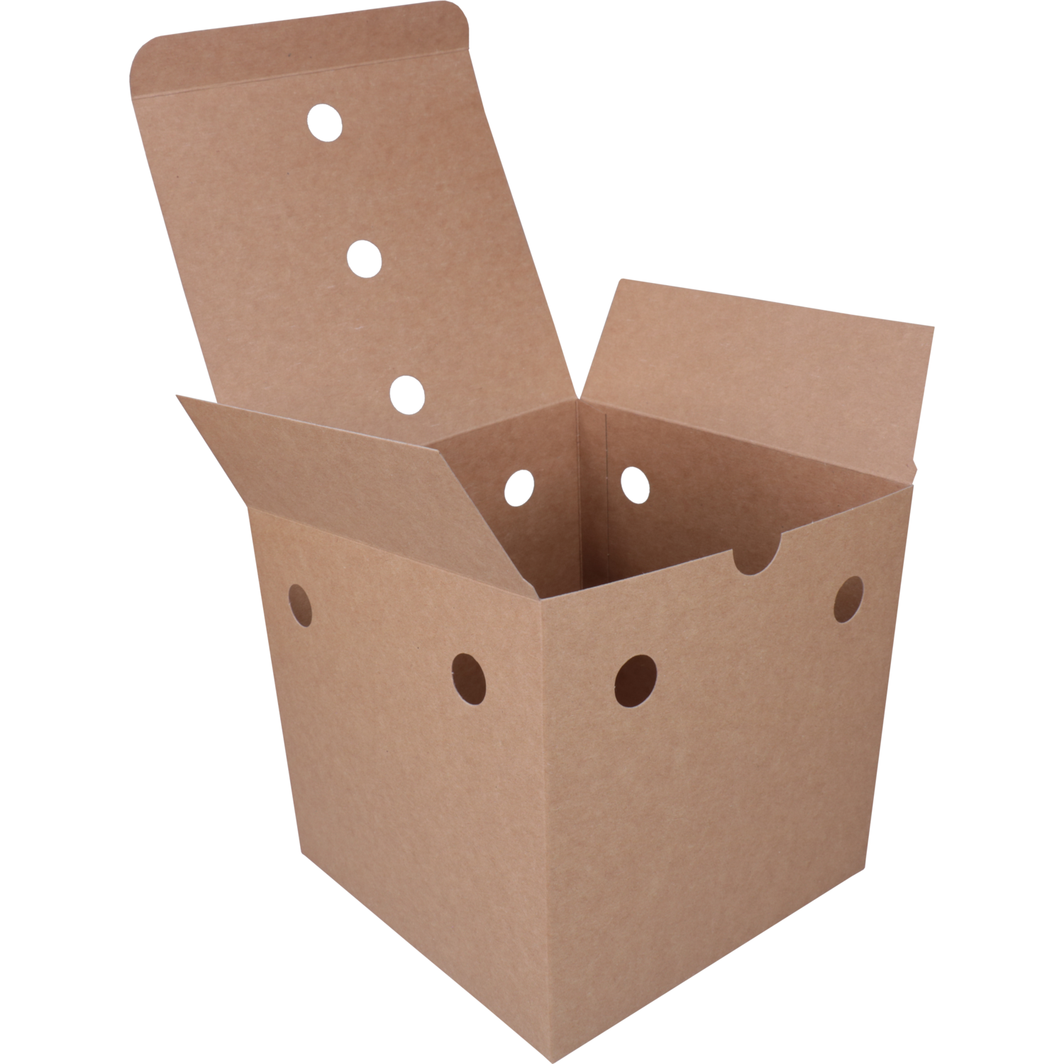 /static/uploads/pictures/large/601416%2301.png