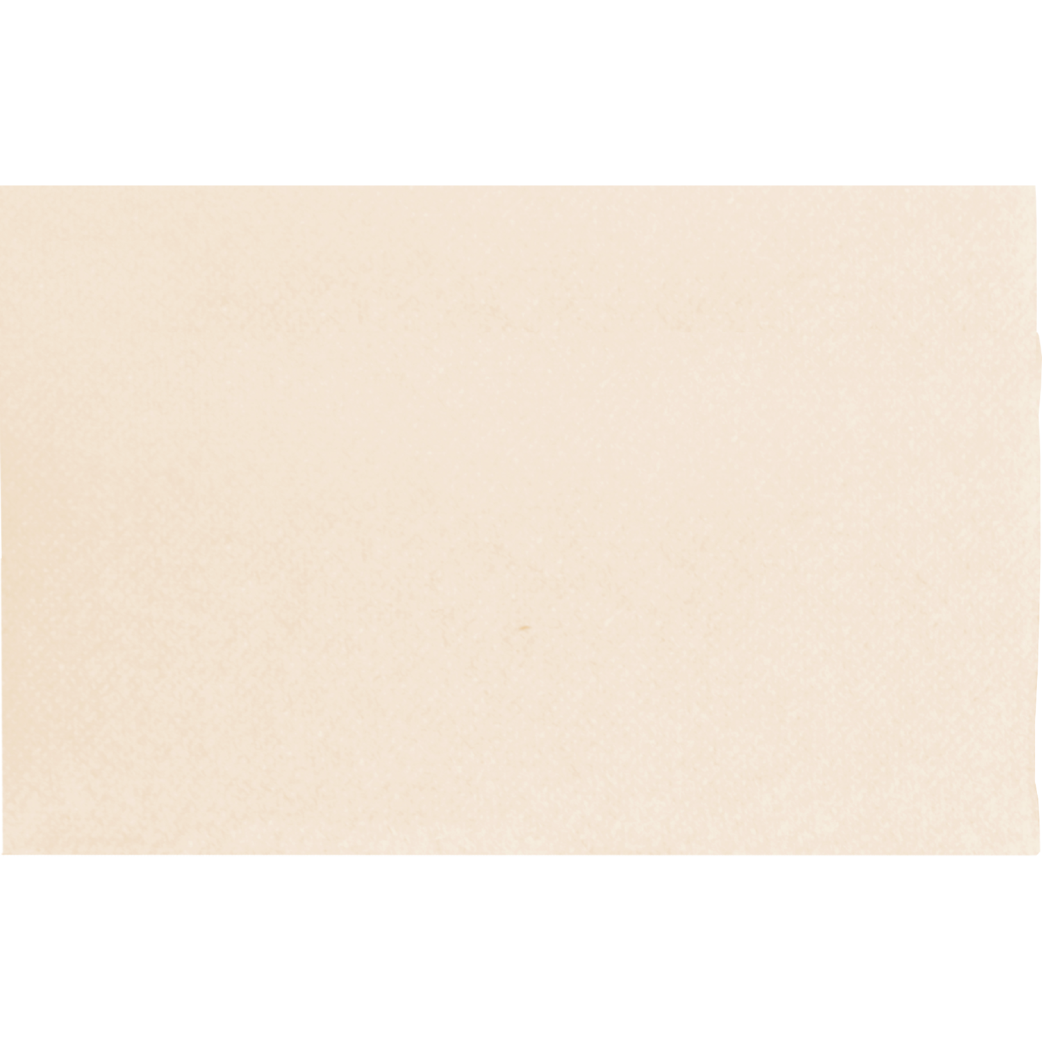 ontsnappen vrijheid Reciteren Servet, papier, 2-laags, 40x40cm, wit (611140), Neutraal | Eten -  Paardekooper B.V.