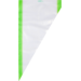 Piping bag, 59x28cm, PE, transparent/Grün