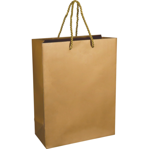 Tas, Papier, met koord, 22x 10x29cm, draagtas, goud/wit