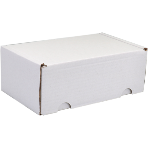 SendProof® Postpakketdoos, golfkarton, 110x180x71mm, gestanst, wit