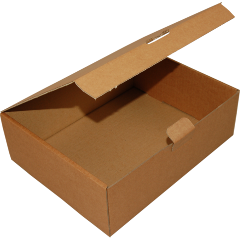  Faltschachtel, wellpappe, 300x240x100mm, mit Einsteckklappe, einfache Welle, braun