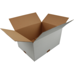 /static/uploads/pictures/small/385319.png