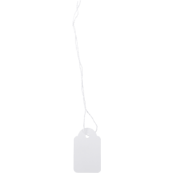 /static/uploads/pictures/small/534823.png