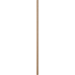 /static/uploads/pictures/small/600886.png