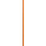/static/uploads/pictures/small/710131%2302.png